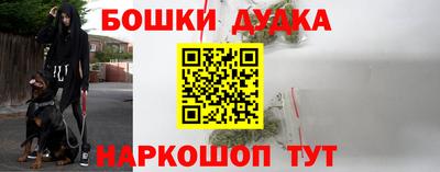 прущие грибы Апшеронск