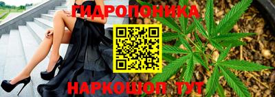 прущие грибы Апшеронск