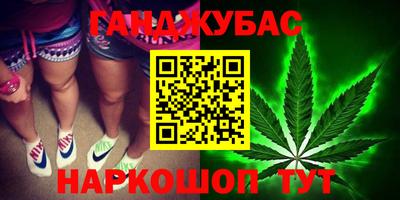 прущие грибы Апшеронск