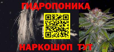 прущие грибы Апшеронск