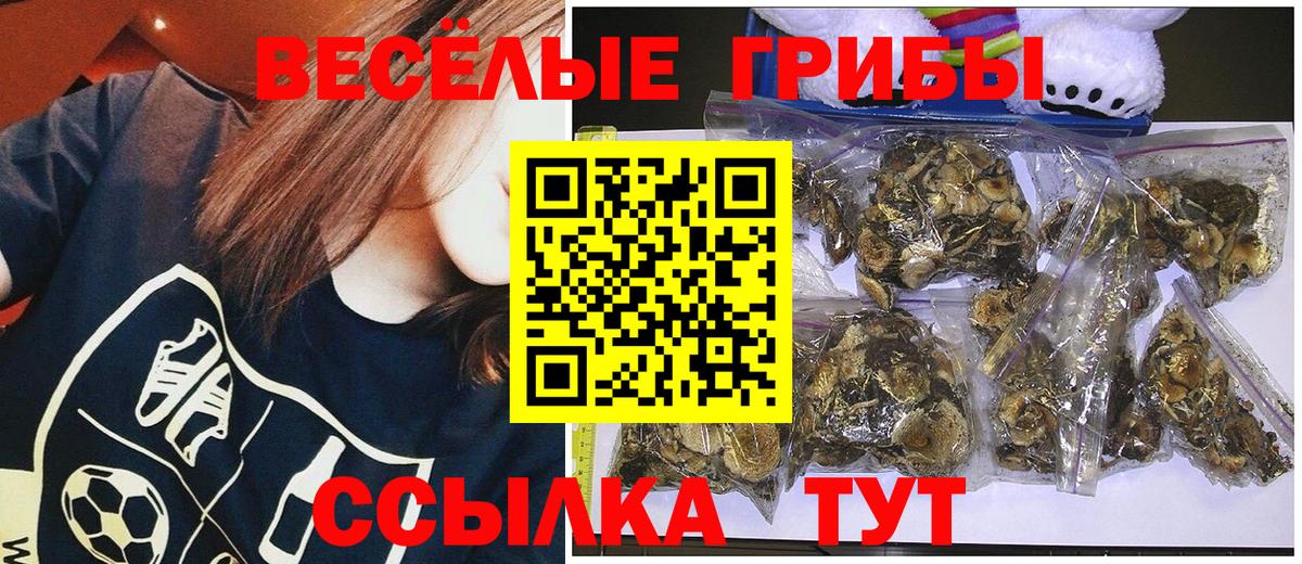 закладка  Галлюциногенные грибы мухоморы  Вход с VPN  Белово 