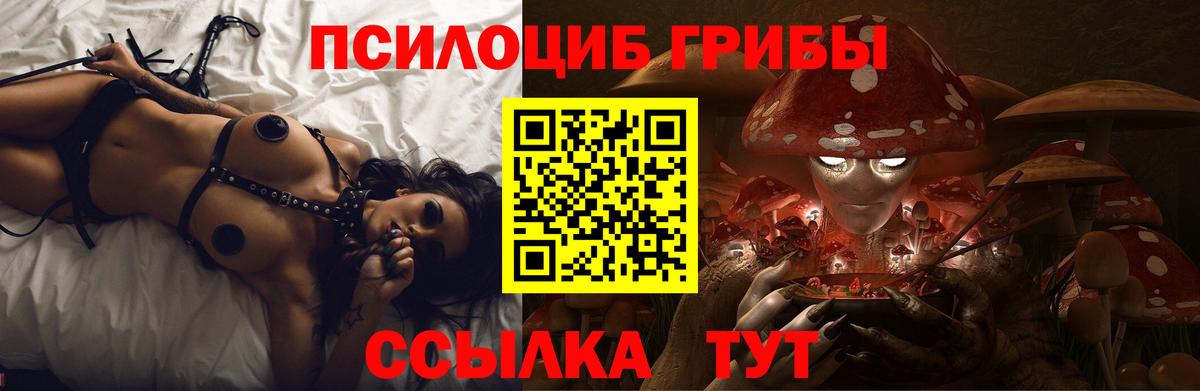 Галлюциногенные грибы мицелий Белово